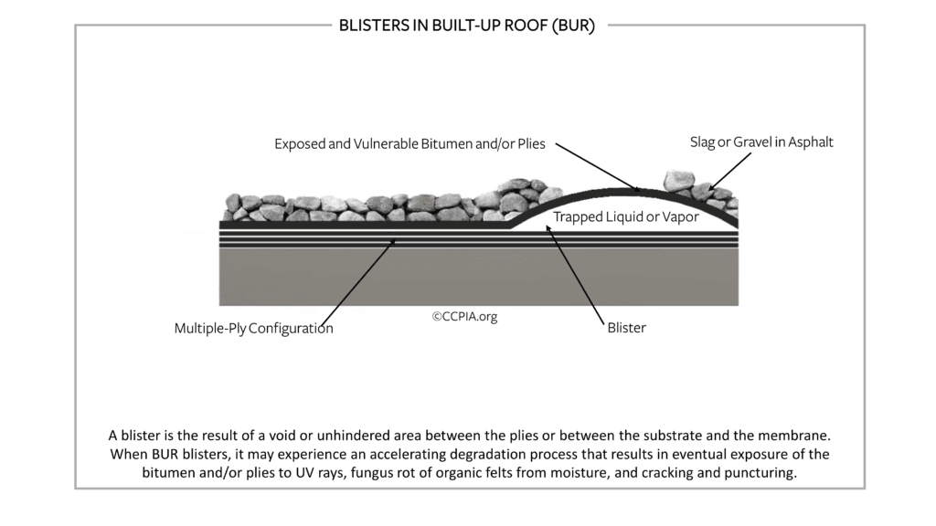Blisters in Built-Up Roof (BUR)