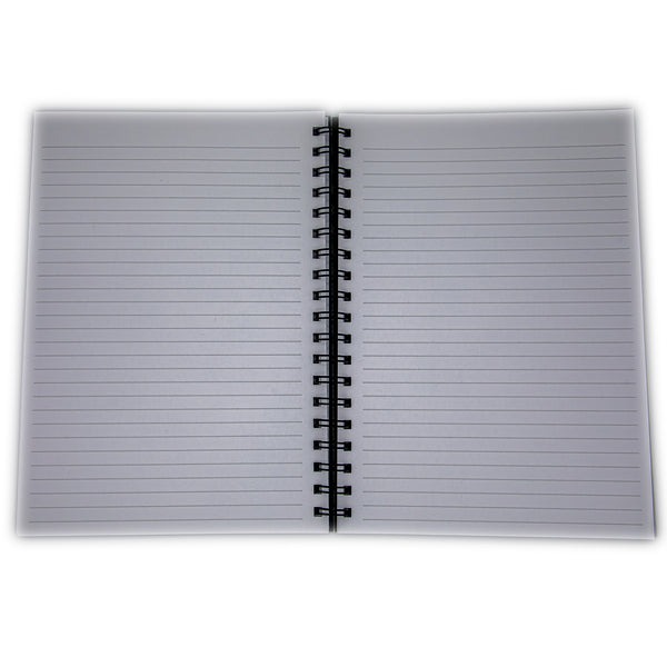 CCPIA-Notebook-2