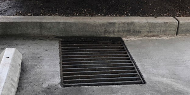 catch-basin-ccpia
